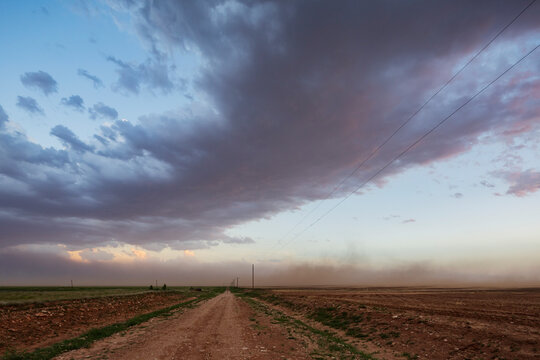 A dust storm approaching along a road at dusk. 