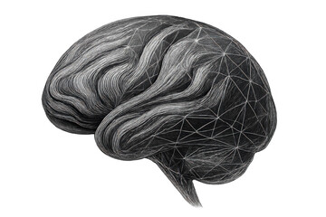 Stylized brain forming a network structure representing artificial intelligence concepts and mind connection, transparent background