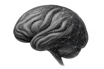 Stylized brain forming a network structure representing artificial intelligence concepts and mind connection, transparent background