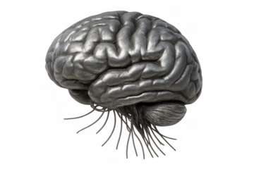 Metallic brain with bionic nerves illustrating artificial intelligence, future technology, and robotic mind development
