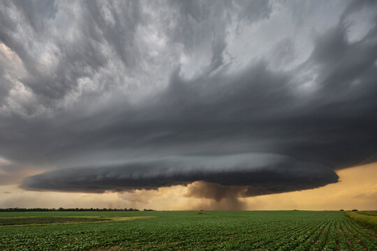 Base of a Supercell Showing the RFD, Rear Flank Downdraft Cut