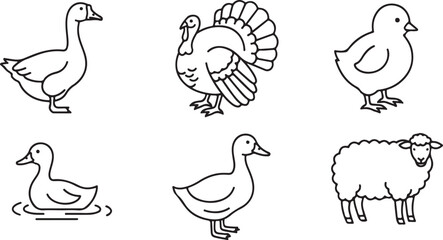Cute farm animal line art collection duck turkey chick sheep icons outline