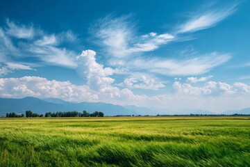 Green field with blue sky and white clouds over distant mountains