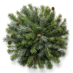 Overhead view of a circular arrangement of green pine branches with small brown pine cones scattered around
