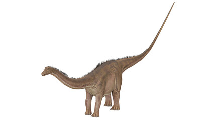 3d rendering Diplodocus dinosaur © santiago