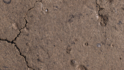 Close up of a rough textured celestial surface