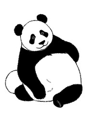 panda © Uswa
