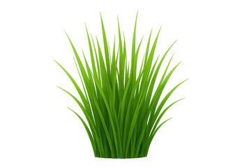 Fresh green grass tuft growing, representing nature, spring, growth, and eco-friendly concepts, with transparent background