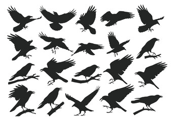 Obraz premium A collection of black silhouettes depicting crows in various flight poses