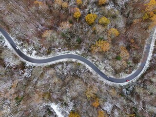 Winding Road Through Snow-Dusted Autumn Forest