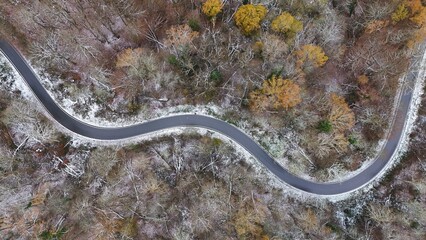 Winding Road Through Snow-Dusted Autumn Forest