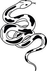 WebCoiled spotted snake vector illustration, black and white reptile design for tattoo, hand drawn serpent sketch isolated on white background, wild animal art