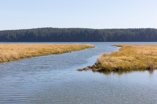 Intertidal wetland at high tide