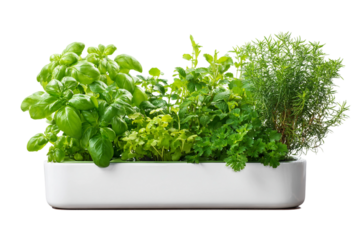 complete indoor herb growing garden isolated on transparent background