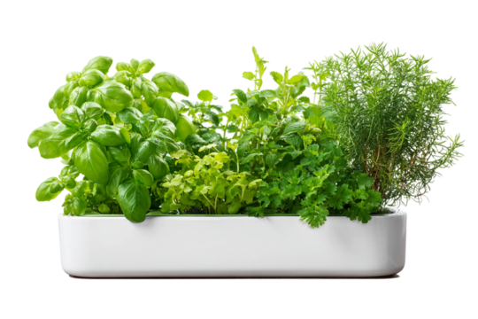 complete indoor herb growing garden isolated on transparent background