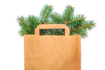 Brown Paper Bag With Pine Branches For Eco Friendly Holiday Gift