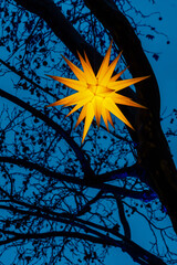 Golden Star Lantern Illuminates Night Sky Amid Bare Tree Branches