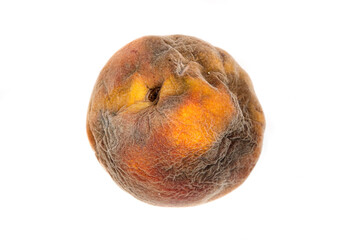 Rotten Peach With Mold: Spoiled Produce, Decay, Edible Waste, and Kitchen Hygiene