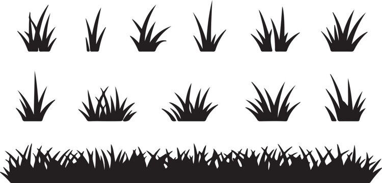 Black grass tufts show variation in length and density, displayed against a transparent background