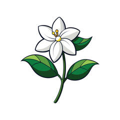 Cartoon white flower with green leaves and yellow center