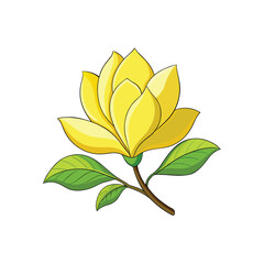 A beautiful yellow magnolia flower with green leaves