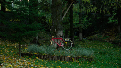 Fototapeta premium A vintage red bicycle is propped against a large tree in a secluded, dark park or forest, surrounded by green foliage, grass, and yellow autumn leaves, evoking quiet recreation.