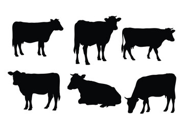 Set of Cow Silhouettes in Various Poses