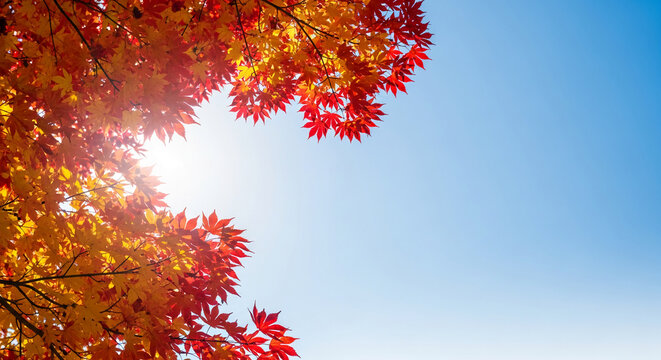 Image with tree branches with red and yellow leaves against the blue sky, depicting change, autumn season, beauty of nature, and serenity, free space