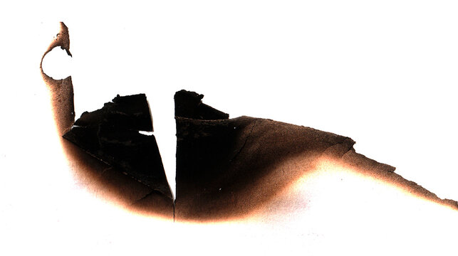 Paper burned old grunge on white background 