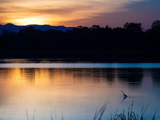 Sunset over the lake with Egret silhouette from Kaziranga National Park | Mountain range