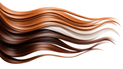 Multicolored Flowing Hair on Transparent Background
