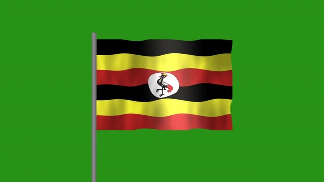 Flag of Uganda, Pole flag of Uganda on Green screen chroma key, Uganda 3D Animation flag waving in the wind isolated on Green Background. 
