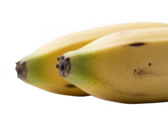 Closeup of two ripe bananas isolated on transparent background, showcasing their smooth yellow skin, dark brown tips, and subtle spots indicating ripeness and freshness