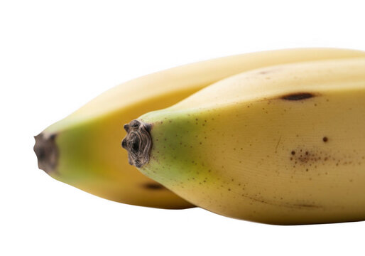 Closeup of two ripe bananas isolated on transparent background, showcasing their smooth yellow skin, dark brown tips, and subtle spots indicating ripeness and freshness