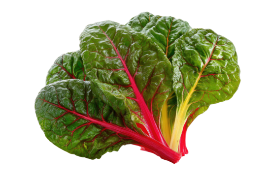 Close-up of vibrant red and green leafy vegetable
