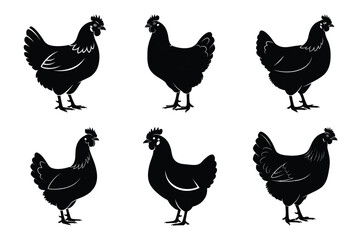 chicken standing of the modern vector silhouettes animals icon collection