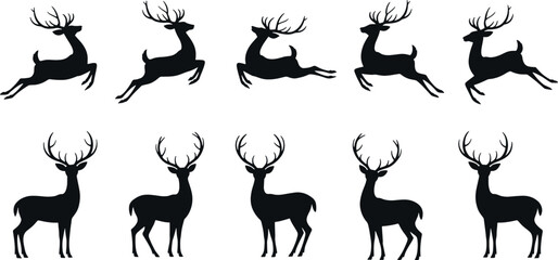 Silhouette of reindeer in different poses isolated on white background
