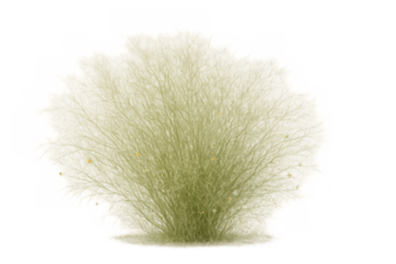 Mycelium growing a colony of mold, bacteria, or fungus with individual spores on a transparent background