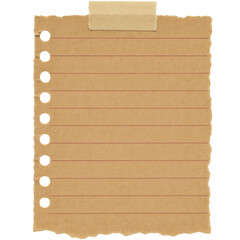 Vertical kraft paper with punch holes on side