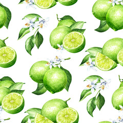 Fresh Lime seamless pattern. Hand drawn watercolor illustration, isolated on white background