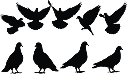 Dove and pigeon silhouettes set, birds flying with spread wings and standing poses, peace and freedom symbol vector graphic illustration