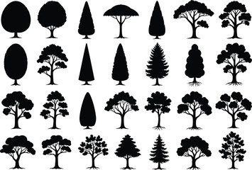 Large tree silhouettes set, collection of different tree shapes, black forest icon, natural plant evergreen and deciduous vector graphic design