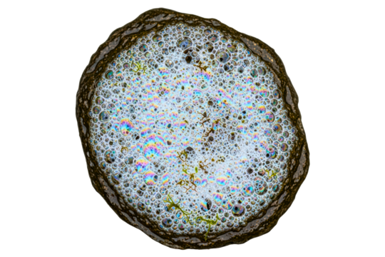 Circular foam of iridescent bubbles with small bits of algae isolated with transparent background