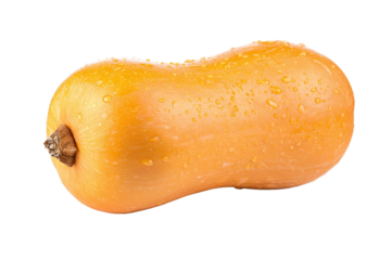 Butternut squash isolated on transparent background, showcasing its smooth skin