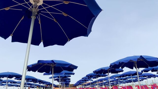 Blue Sun Umbrellas Blowing In The Wind