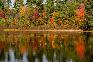 View of the landscape in Cape Porpoise, Maine USA