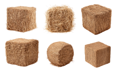 Six light beige cubes, densely packed with fibrous material, presented in various angles
