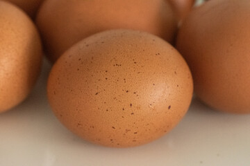 Close Up of Raw Egg, showing its skin texture with many little black dots