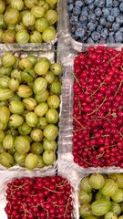 Fresh market berries including gooseberry, redcurrant, and blueberry