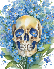 White skull in a wreath of blue forget-me-not flowers, watercolor work.